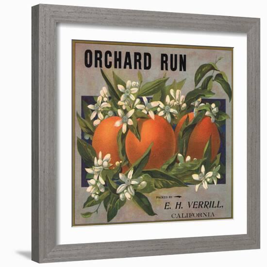 Orchard Run Brand - California - Citrus Crate Label-Lantern Press-Framed Art Print