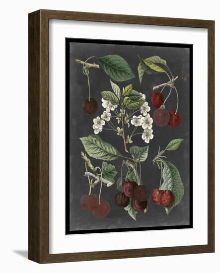 Orchard Varieties I-Vision Studio-Framed Art Print