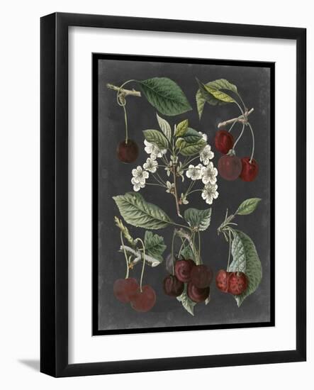 Orchard Varieties I-Vision Studio-Framed Art Print