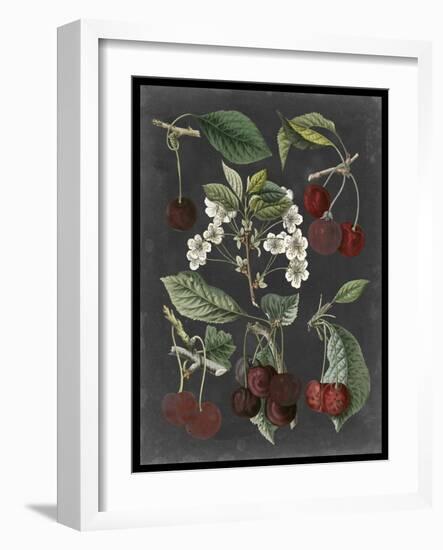 Orchard Varieties I-Vision Studio-Framed Art Print