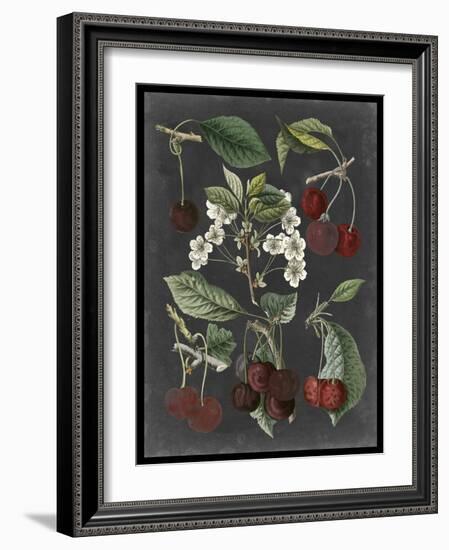 Orchard Varieties I-Vision Studio-Framed Art Print