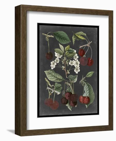 Orchard Varieties I-Vision Studio-Framed Art Print