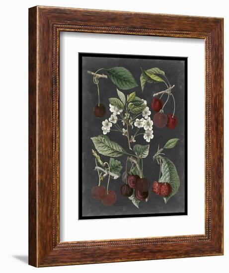 Orchard Varieties I-Vision Studio-Framed Art Print