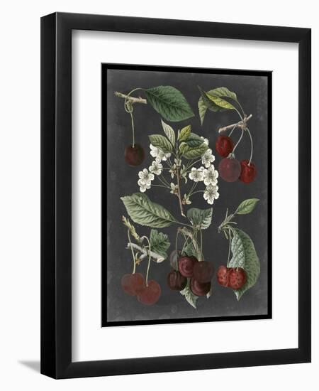 Orchard Varieties I-Vision Studio-Framed Art Print