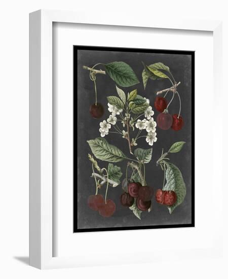 Orchard Varieties I-Vision Studio-Framed Art Print