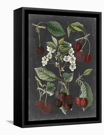 Orchard Varieties I-Vision Studio-Framed Stretched Canvas
