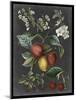 Orchard Varieties III-Vision Studio-Mounted Art Print