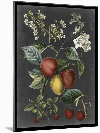 Orchard Varieties III-Vision Studio-Mounted Art Print