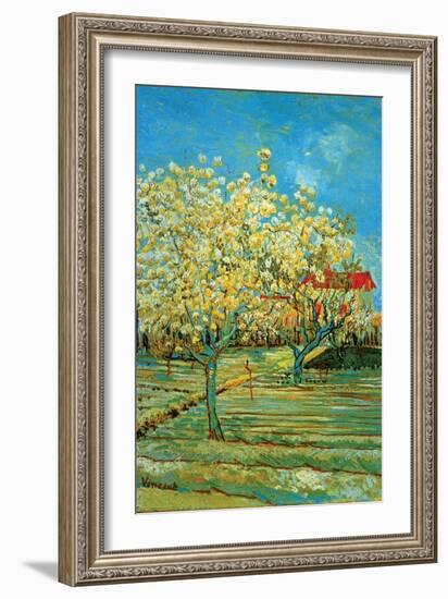 Orchard with Cypress by Van Gogh-Vincent van Gogh-Framed Art Print