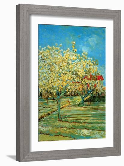 Orchard with Cypress by Van Gogh-Vincent van Gogh-Framed Art Print