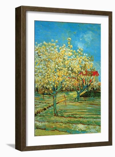 Orchard with Cypress by Van Gogh-Vincent van Gogh-Framed Art Print