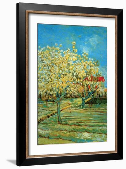 Orchard with Cypress by Van Gogh-Vincent van Gogh-Framed Art Print