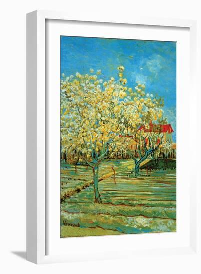 Orchard with Cypress by Van Gogh-Vincent van Gogh-Framed Art Print