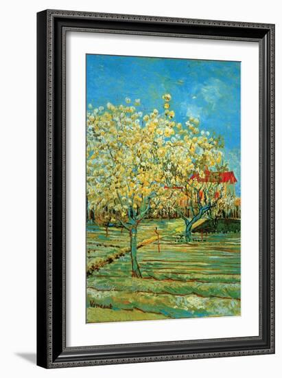 Orchard with Cypress by Van Gogh-Vincent van Gogh-Framed Art Print