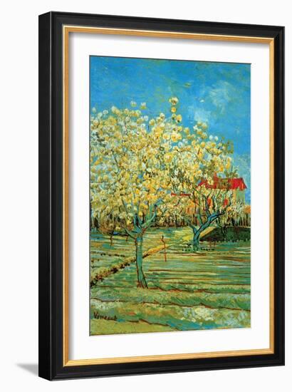 Orchard with Cypress by Van Gogh-Vincent van Gogh-Framed Art Print