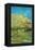 Orchard with Cypress by Van Gogh-Vincent van Gogh-Framed Stretched Canvas