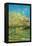 Orchard with Cypress by Van Gogh-Vincent van Gogh-Framed Stretched Canvas