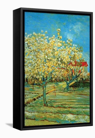 Orchard with Cypress by Van Gogh-Vincent van Gogh-Framed Stretched Canvas