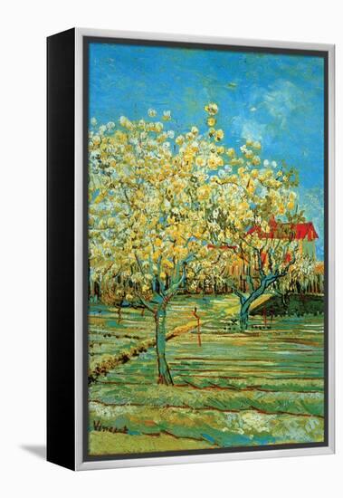 Orchard with Cypress by Van Gogh-Vincent van Gogh-Framed Stretched Canvas