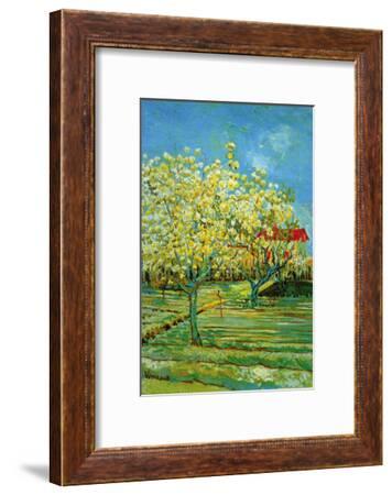 Orchard with Cypress Art Print by Vincent van Gogh | Art.com