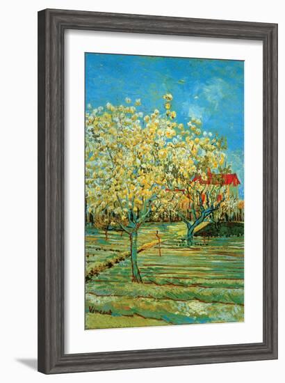 Orchard with Cypress-Vincent van Gogh-Framed Art Print