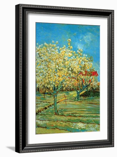 Orchard with Cypress-Vincent van Gogh-Framed Art Print