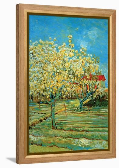 Orchard with Cypress-Vincent van Gogh-Framed Stretched Canvas