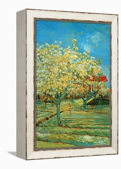 Orchard with Cypress-Vincent van Gogh-Framed Stretched Canvas