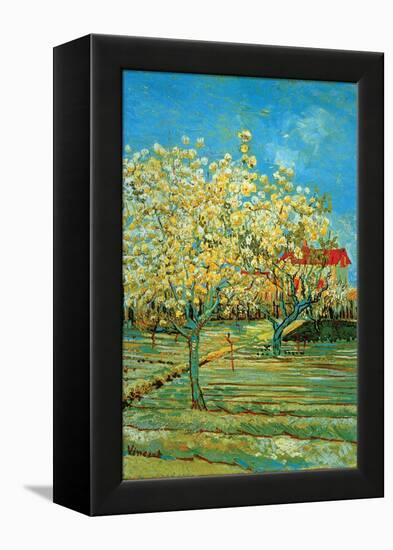 Orchard with Cypress-Vincent van Gogh-Framed Stretched Canvas