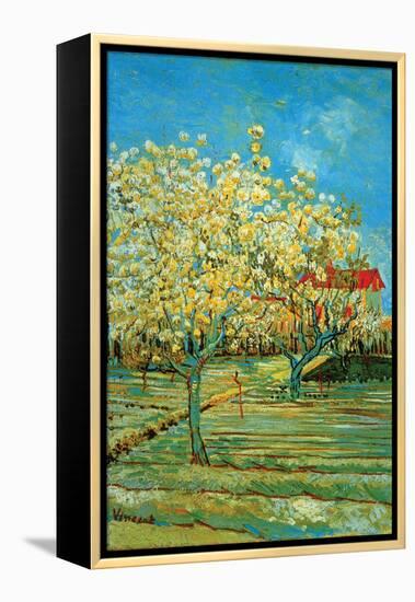 Orchard with Cypress-Vincent van Gogh-Framed Stretched Canvas