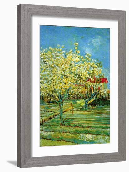 Orchard with Cypress-Vincent van Gogh-Framed Art Print