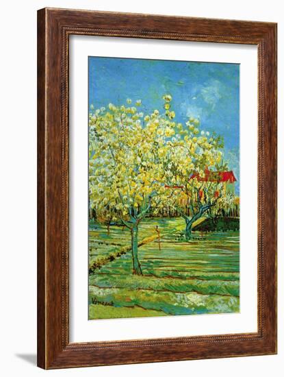 Orchard with Cypress-Vincent van Gogh-Framed Art Print