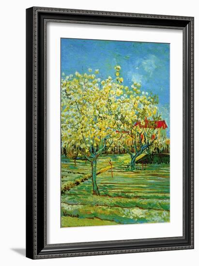 Orchard with Cypress-Vincent van Gogh-Framed Art Print