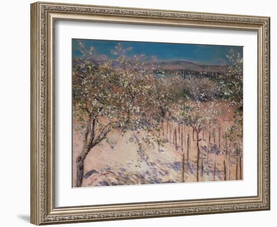 Orchard with Flowering Apple Trees, Colombes-Gustave Caillebotte-Framed Giclee Print