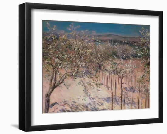 Orchard with Flowering Apple Trees, Colombes-Gustave Caillebotte-Framed Giclee Print