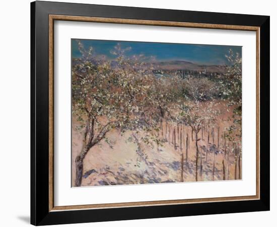 Orchard with Flowering Apple Trees, Colombes-Gustave Caillebotte-Framed Giclee Print