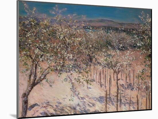 Orchard with Flowering Apple Trees, Colombes-Gustave Caillebotte-Mounted Giclee Print