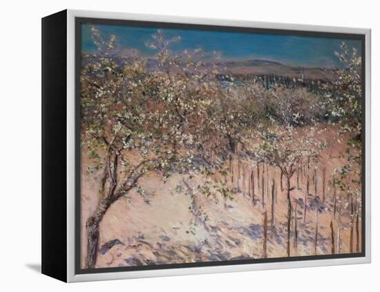 Orchard with Flowering Apple Trees, Colombes-Gustave Caillebotte-Framed Premier Image Canvas