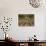 Orchard-Micha Pawlitzki-Photographic Print displayed on a wall