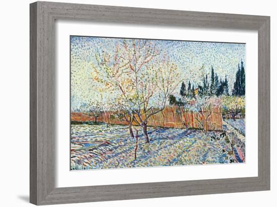 Orchard-Vincent van Gogh-Framed Art Print