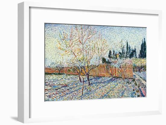 Orchard-Vincent van Gogh-Framed Art Print