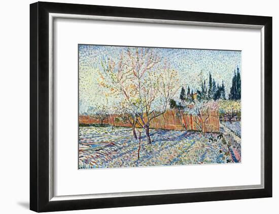 Orchard-Vincent van Gogh-Framed Art Print