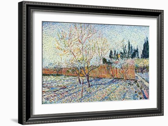 Orchard-Vincent van Gogh-Framed Art Print