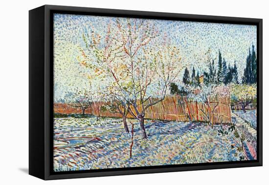 Orchard-Vincent van Gogh-Framed Stretched Canvas