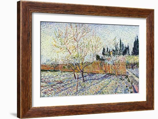 Orchard-Vincent van Gogh-Framed Art Print