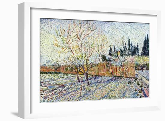 Orchard-Vincent van Gogh-Framed Art Print