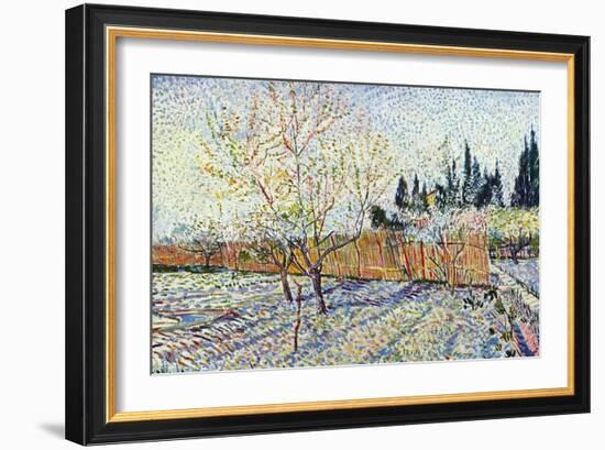 Orchard-Vincent van Gogh-Framed Art Print