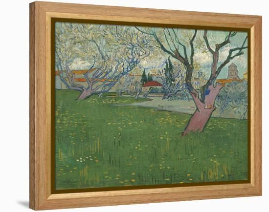 Orchards in Blossom, View of Arles, 1889-Vincent van Gogh-Framed Premier Image Canvas
