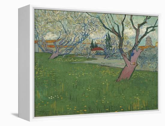 Orchards in Blossom, View of Arles, 1889-Vincent van Gogh-Framed Premier Image Canvas