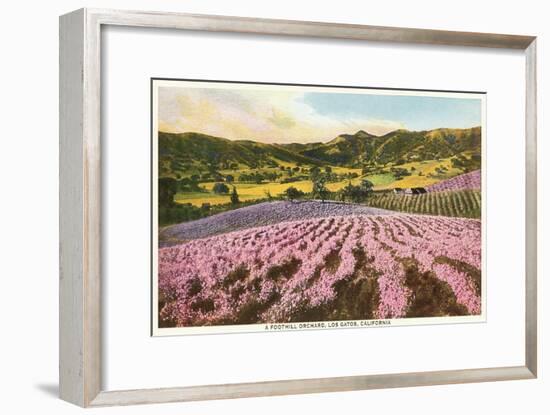 Orchards, Los Gatos, California-null-Framed Art Print